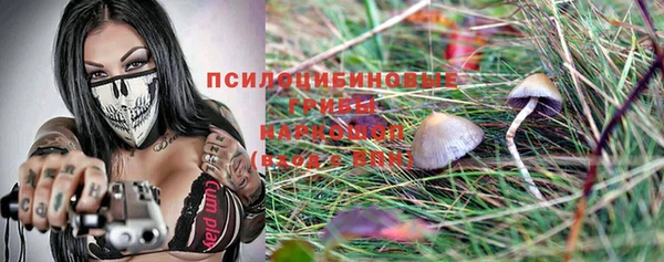 твердый Яровое