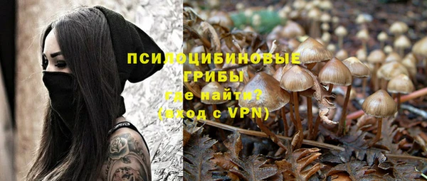 прущий лед Вязьма