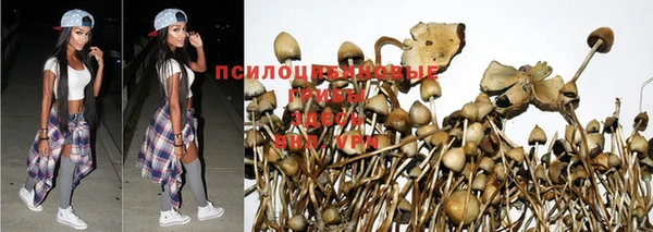 прущий лед Вязьма