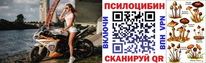Псилоцибиновые грибы мицелий  Западная Двина 